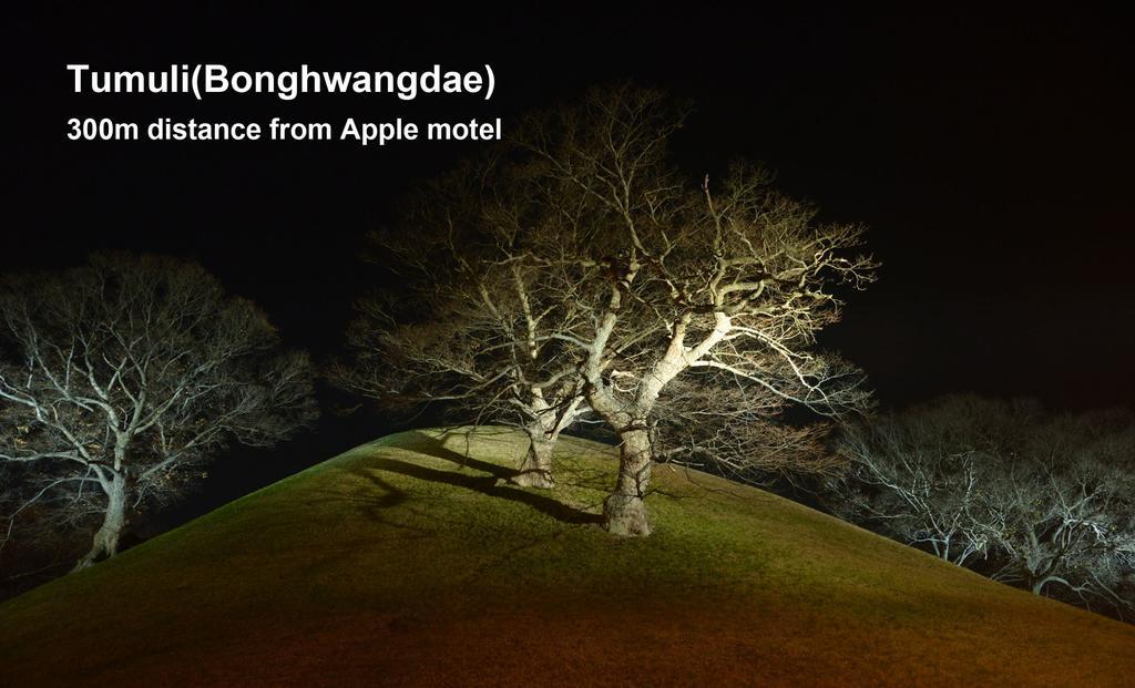 แอปเปิล เฮาส์ มินิ โฮเต็ล Motel คยองจู ภายนอก รูปภาพ